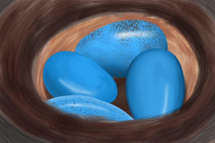 A graphic to show that some animals lay eggs to reproduce and others give birth to babies